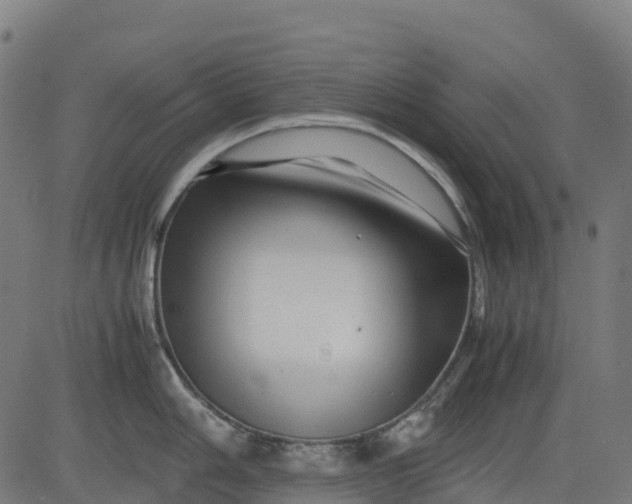 X0000082741006200702091858