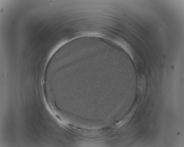 X0000082741007200702091858