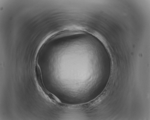 X0000082741008200702091858