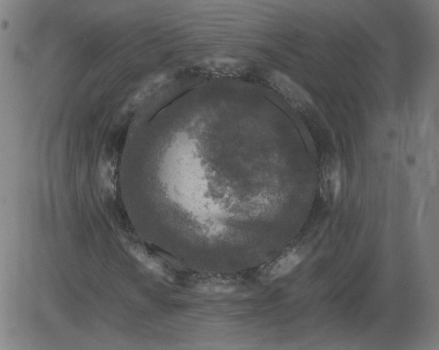 X0000082741010200702091858