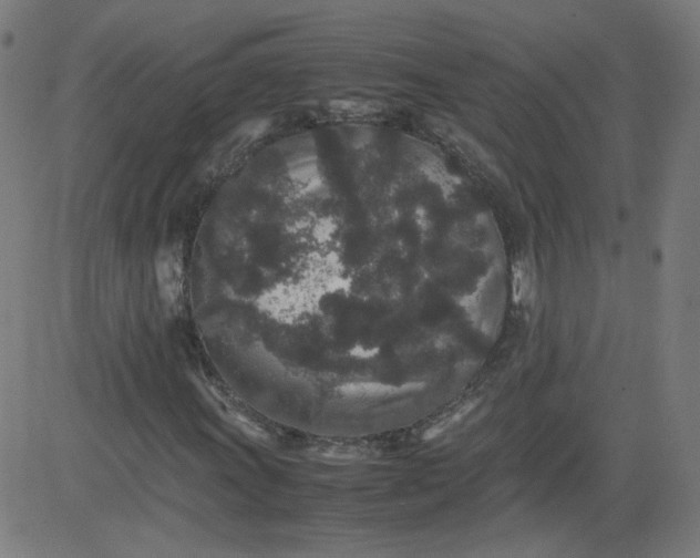 X0000082741011200702091858