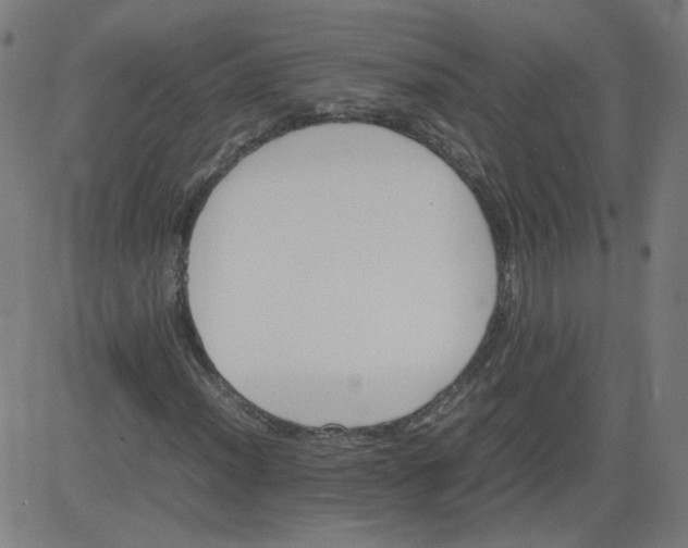 X0000082741012200702091858