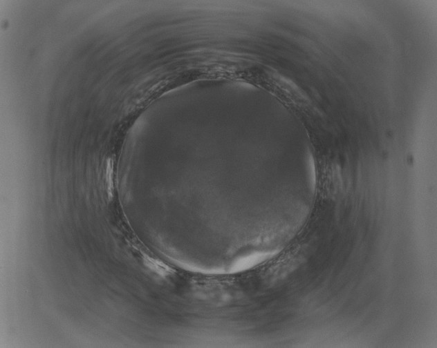 X0000082741013200702091858