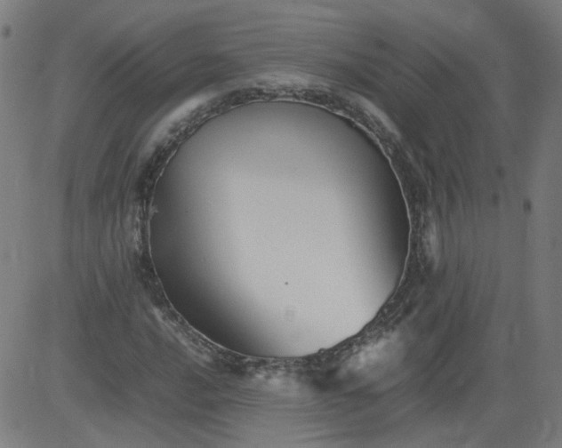 X0000082741016200702091858