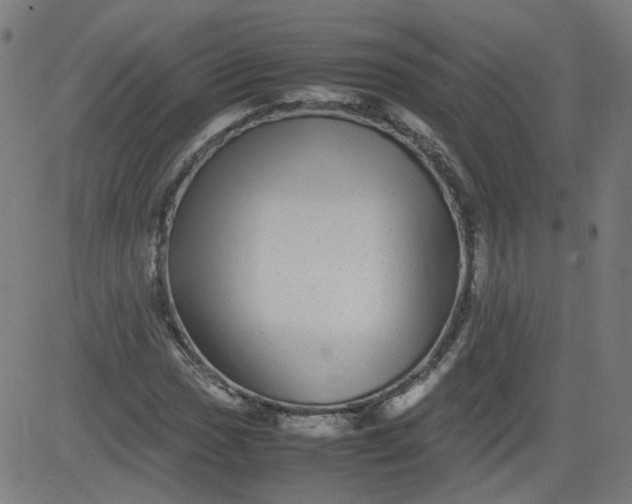 X0000082741017200702091858