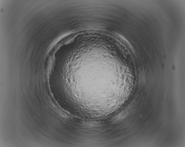 X0000082741019200702091858