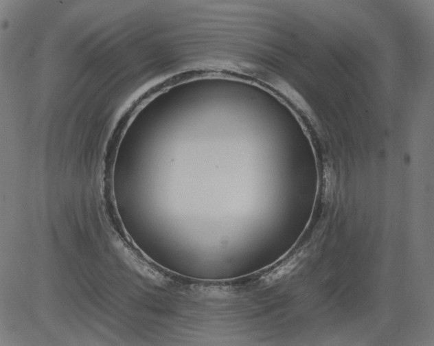 X0000082741020200702091858