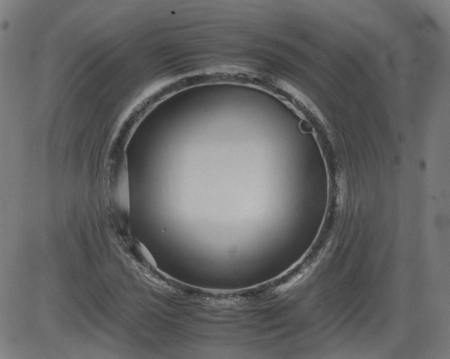 X0000082741021200702091858