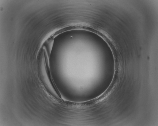 X0000082741022200702091858