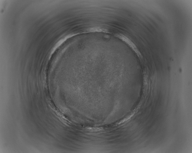 X0000082741023200702091858