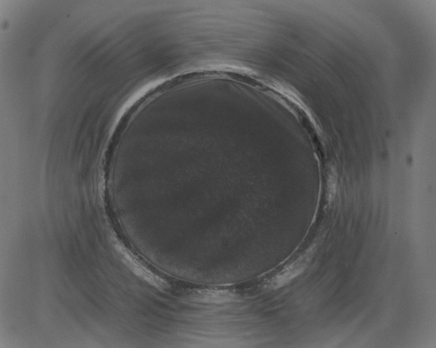 X0000082741024200702091858