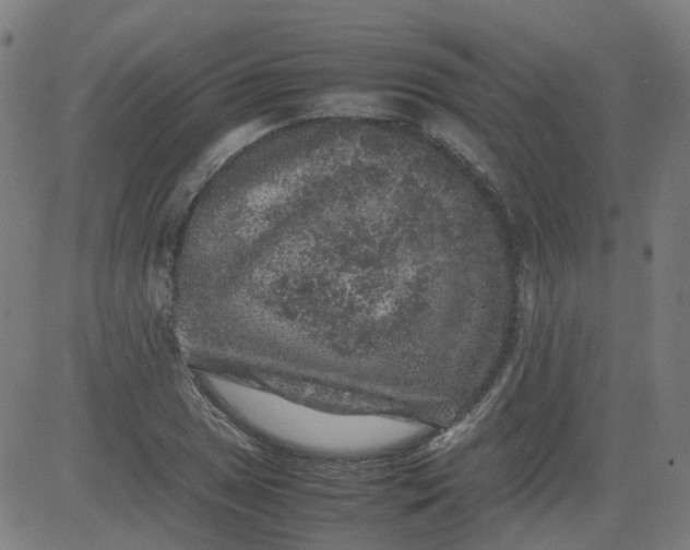 X0000082741025200702091858