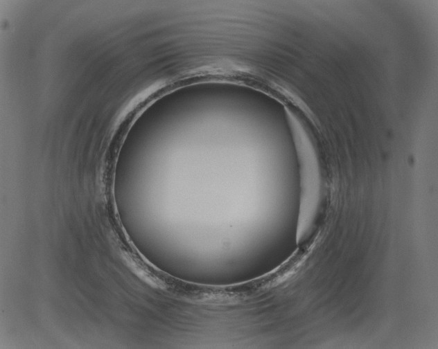 X0000082741026200702091858