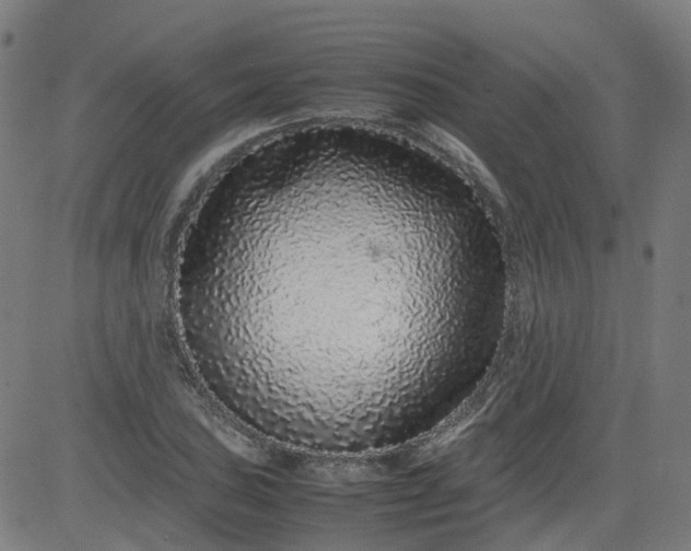 X0000082741027200702091858