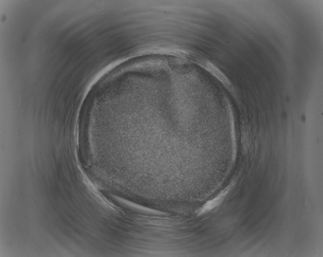 X0000082741028200702091858