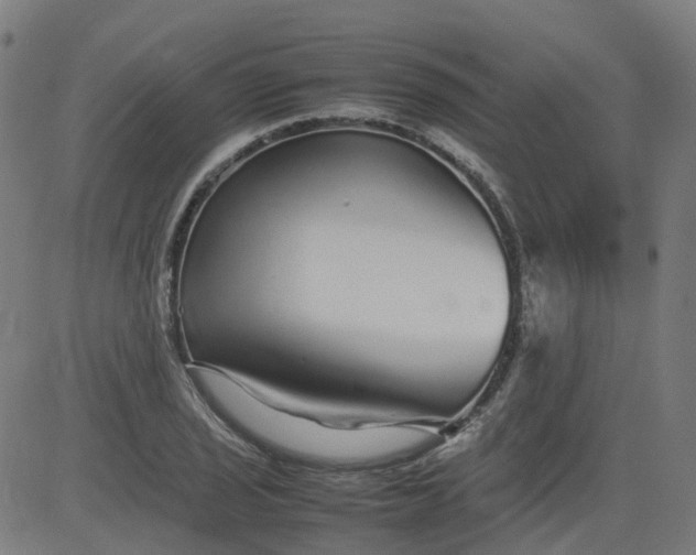 X0000082741029200702091858