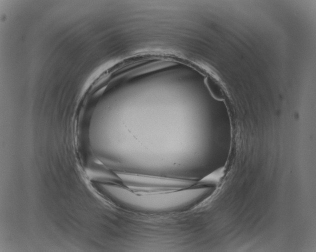 X0000082741030200702091858