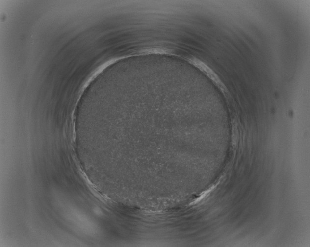 X0000082741031200702091858