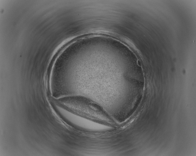 X0000082741032200702091858