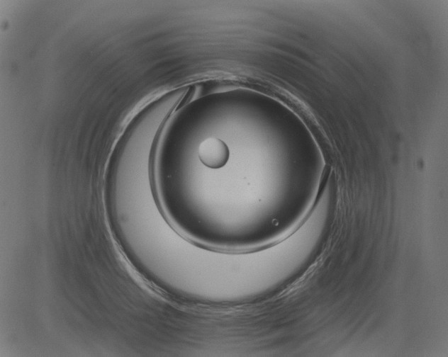 X0000082741034200702091858