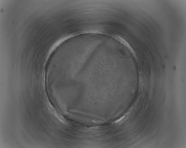 X0000082741035200702091858