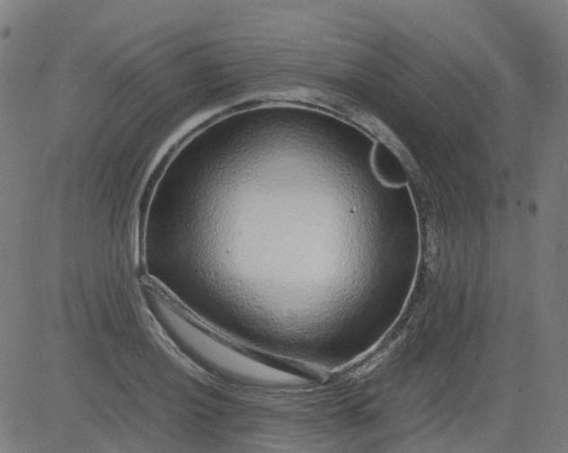 X0000082741036200702091858