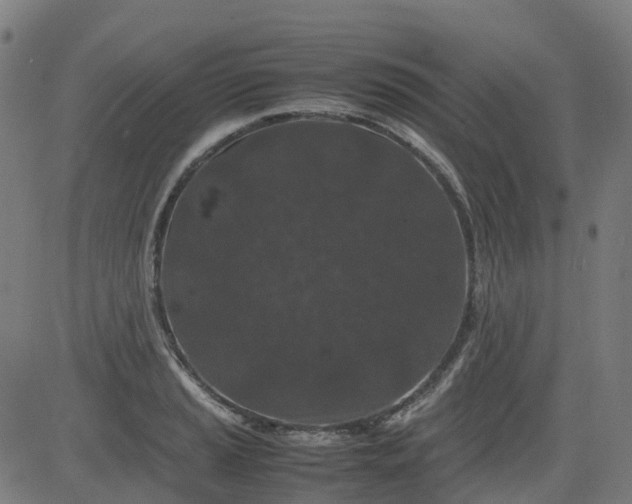 X0000082741037200702091858