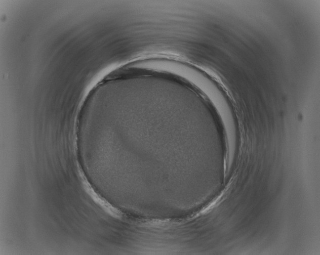 X0000082741038200702091858