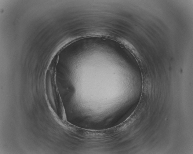 X0000082741039200702091858