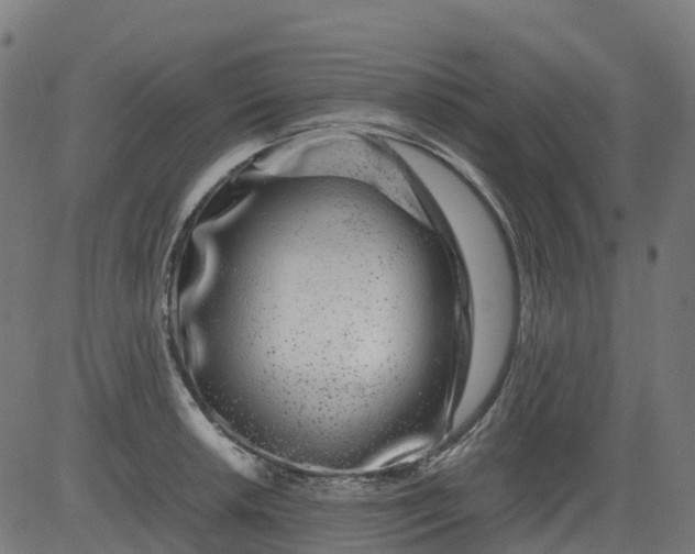 X0000082741042200702091858