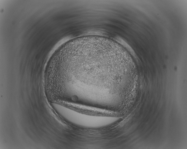 X0000082741043200702091858