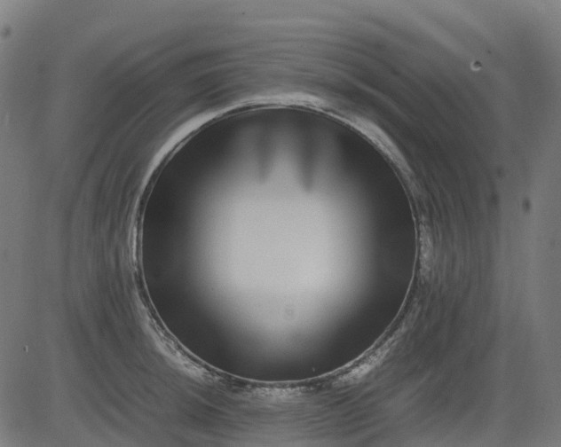 X0000082741044200702091858