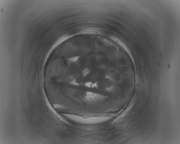 X0000082741045200702091858