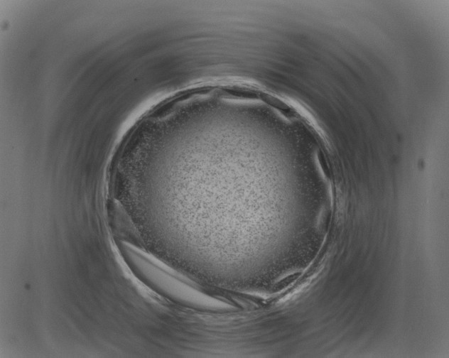 X0000082741046200702091858