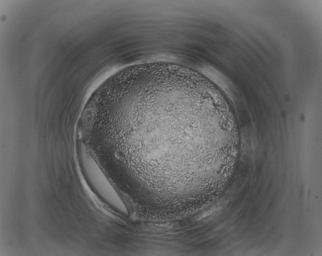 X0000082741047200702091858