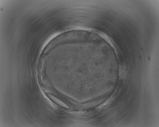 X0000082741048200702091858