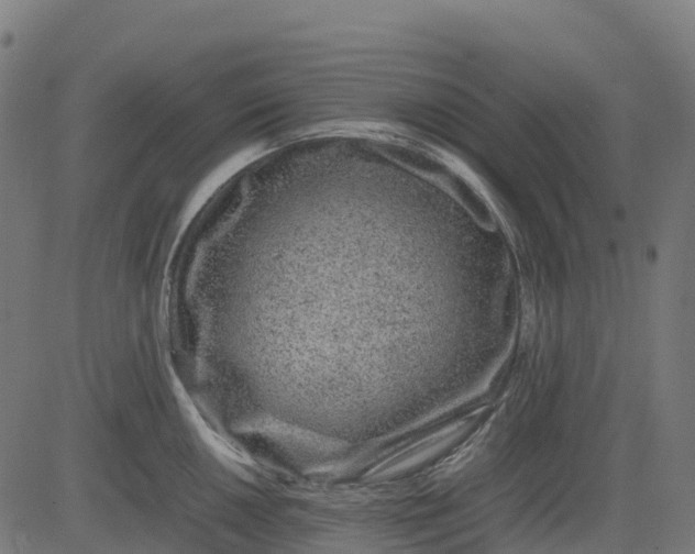 X0000082741050200702091858