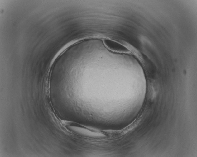 X0000082741052200702091858