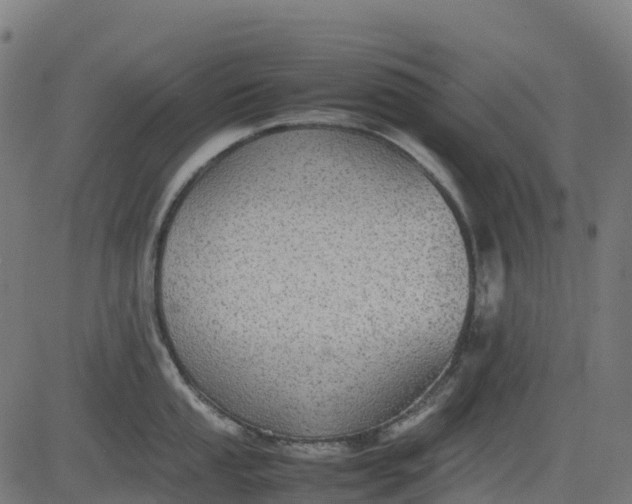 X0000082741053200702091858