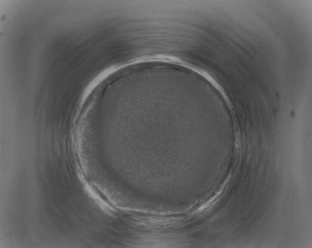 X0000082741054200702091858