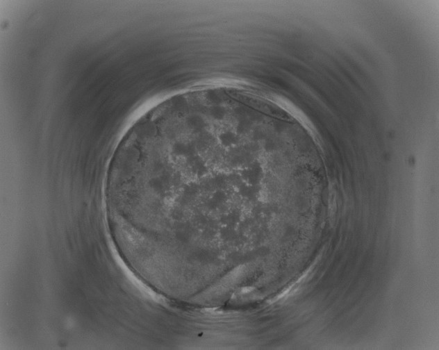 X0000082741055200702091858