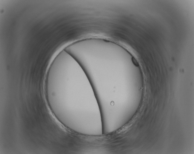 X0000082741056200702091858