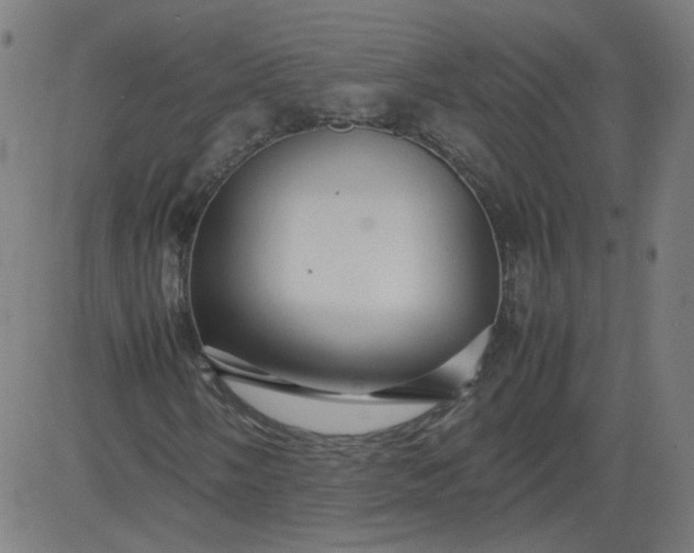 X0000082741058200702091858