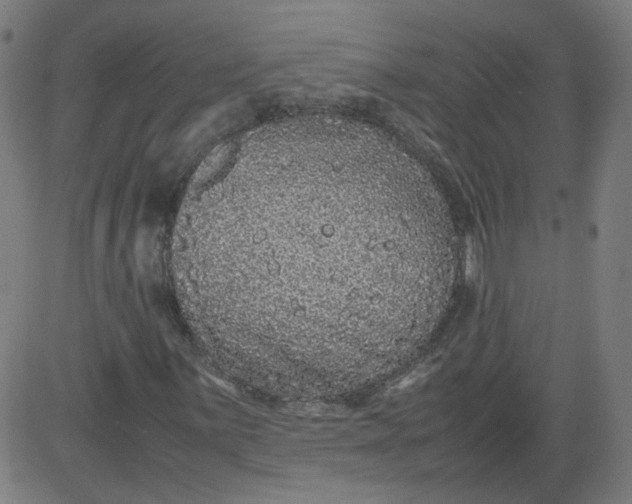 X0000082741059200702091857