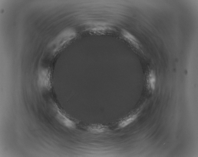 X0000082741060200702091857