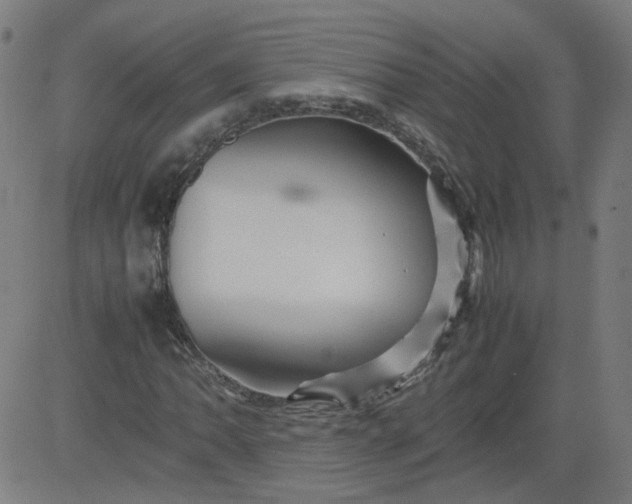 X0000082741062200702091857