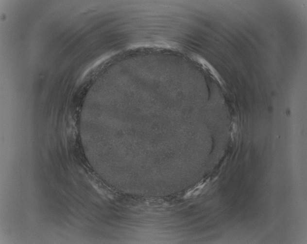 X0000082741064200702091857