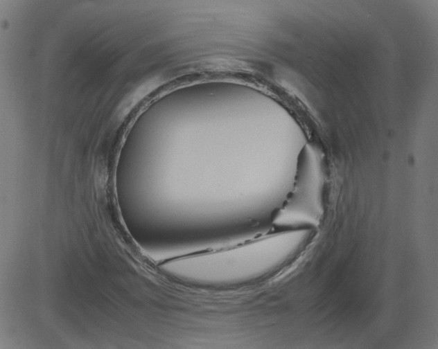 X0000082741065200702091857