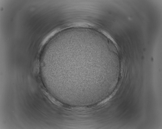 X0000082741067200702091857