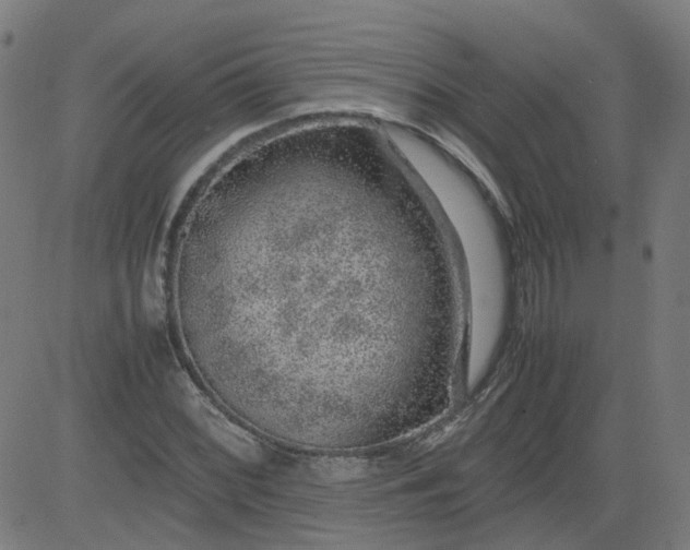 X0000082741068200702091857